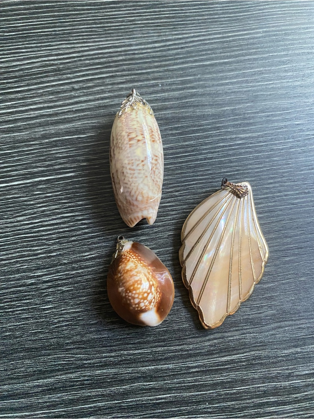 Natural Shell Small Pet Chew & Enrichment Trio pendants Brown and Cream